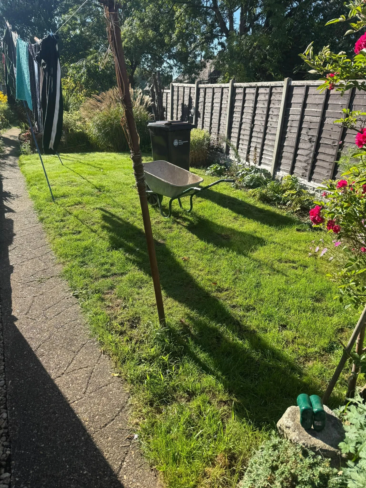 Garden lawn and mature fence before landscaping by Boothville Services.